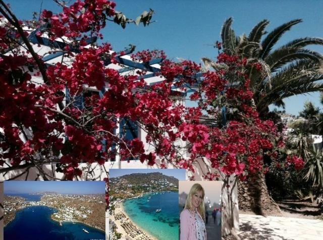 Magical Ornos! Beach House!Beach 1' Walk-Mykonos Town 2Km Екстериор снимка